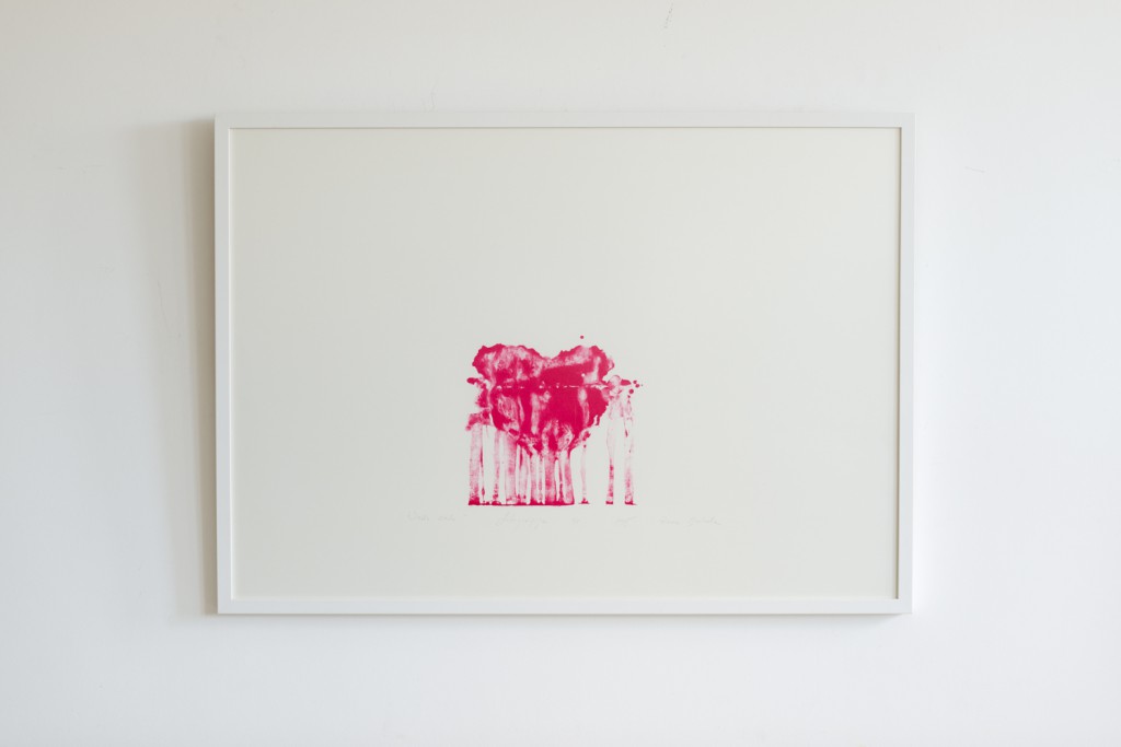 SIRDS SALA - ZANE BALODE