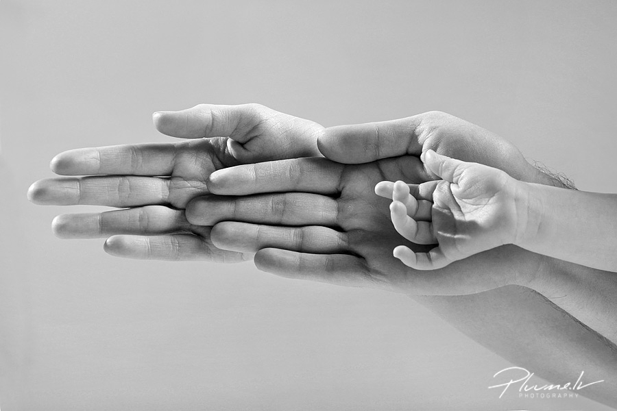 ĢIMENES LOMA MŪSDIENU SABIEDRĪBĀ