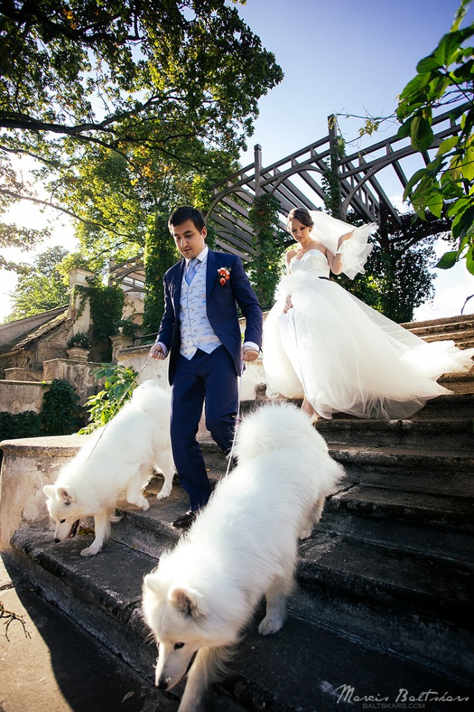 072 - Wedding Photo | Viktoria_Kim | 2015 | Photographer Marcis Baltskars | WEBsize - 56124