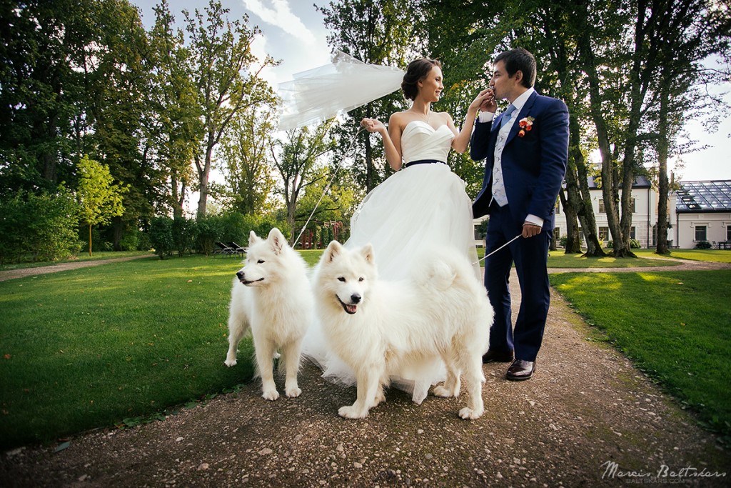 073 - Wedding Photo | Viktoria_Kim | 2015 | Photographer Marcis Baltskars | WEBsize - 56255