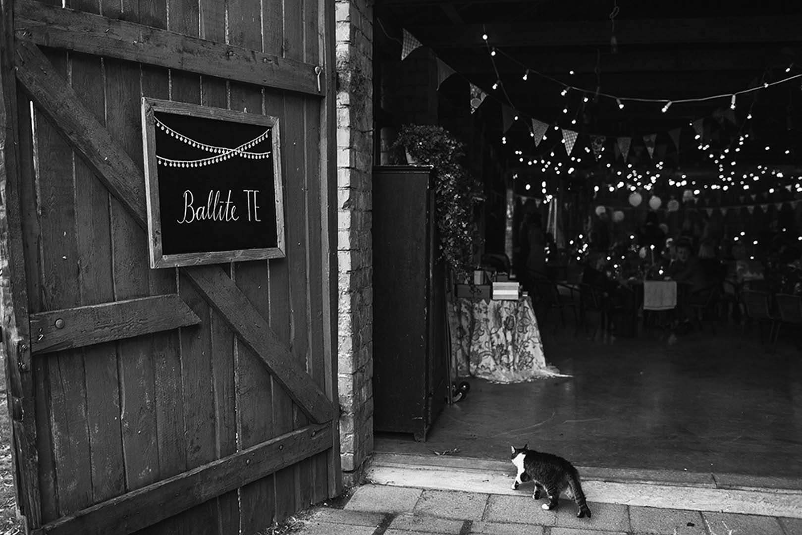 Foto BRIINUM'S WEDDINGS / Dekorācijas BAIBA PRINDULE