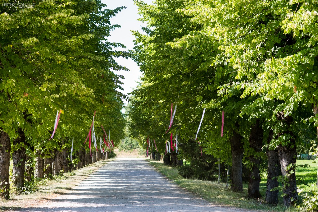 Kazu_stasts_Grinvalde-Fuksijkazas-44