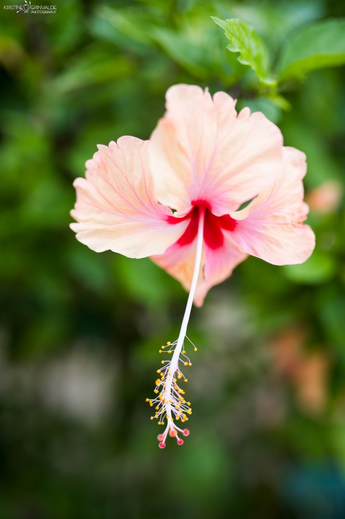 Kazu_stasts_Grinvalde_Seychelles-15