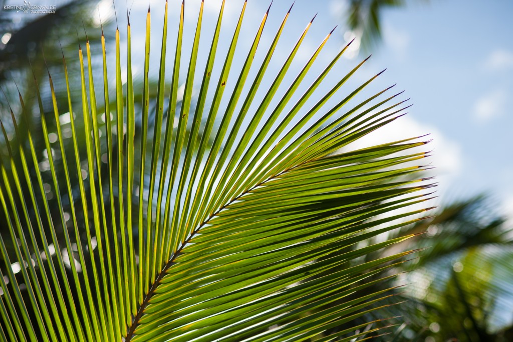 Kazu_stasts_Grinvalde_Seychelles-42