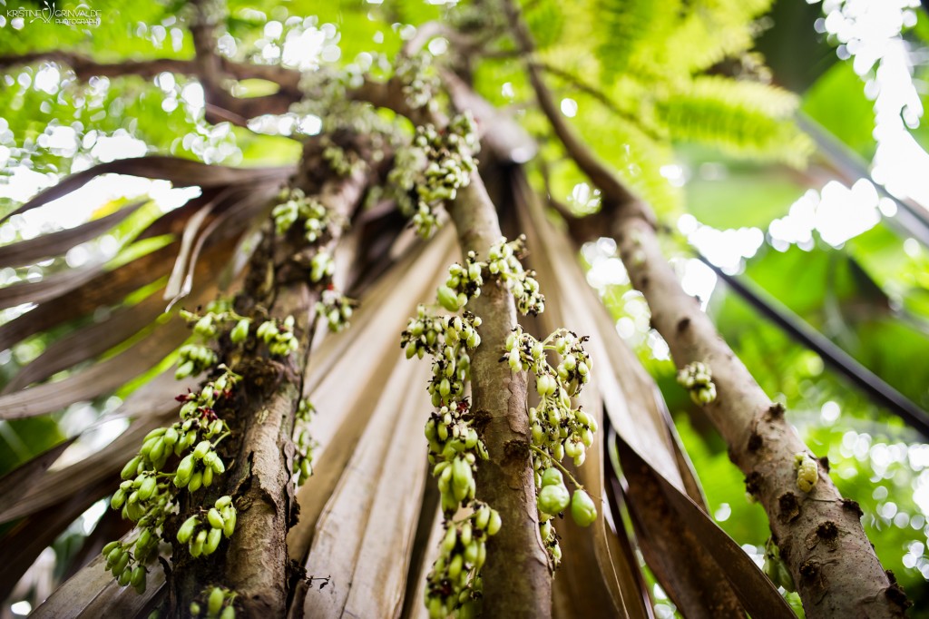 Kazu_stasts_Grinvalde_Seychelles-50