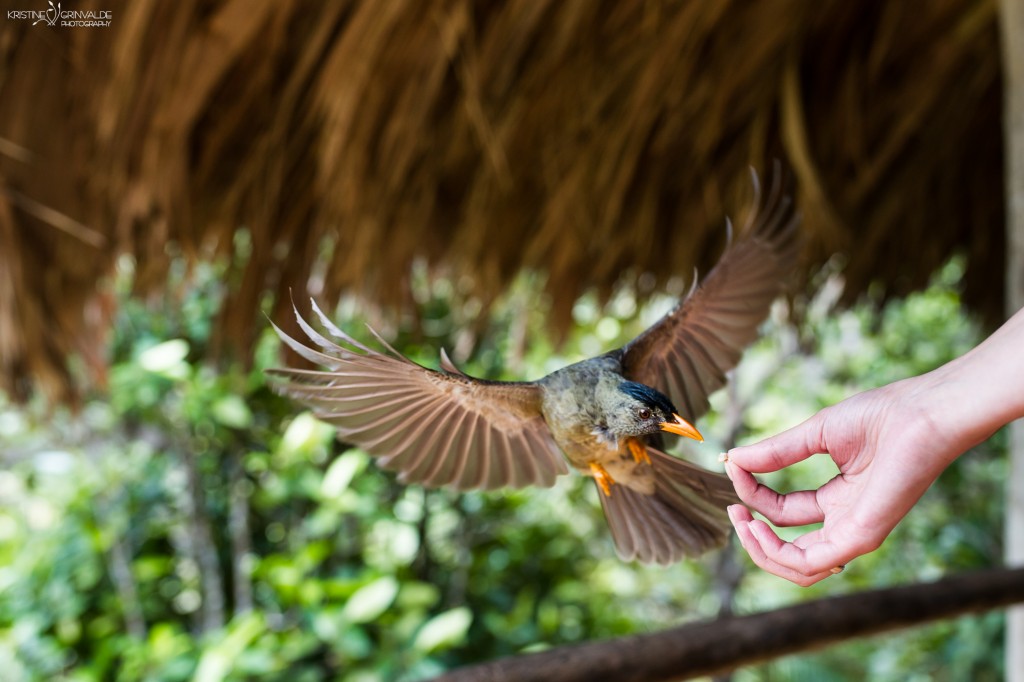 Kazu_stasts_Grinvalde_Seychelles-55