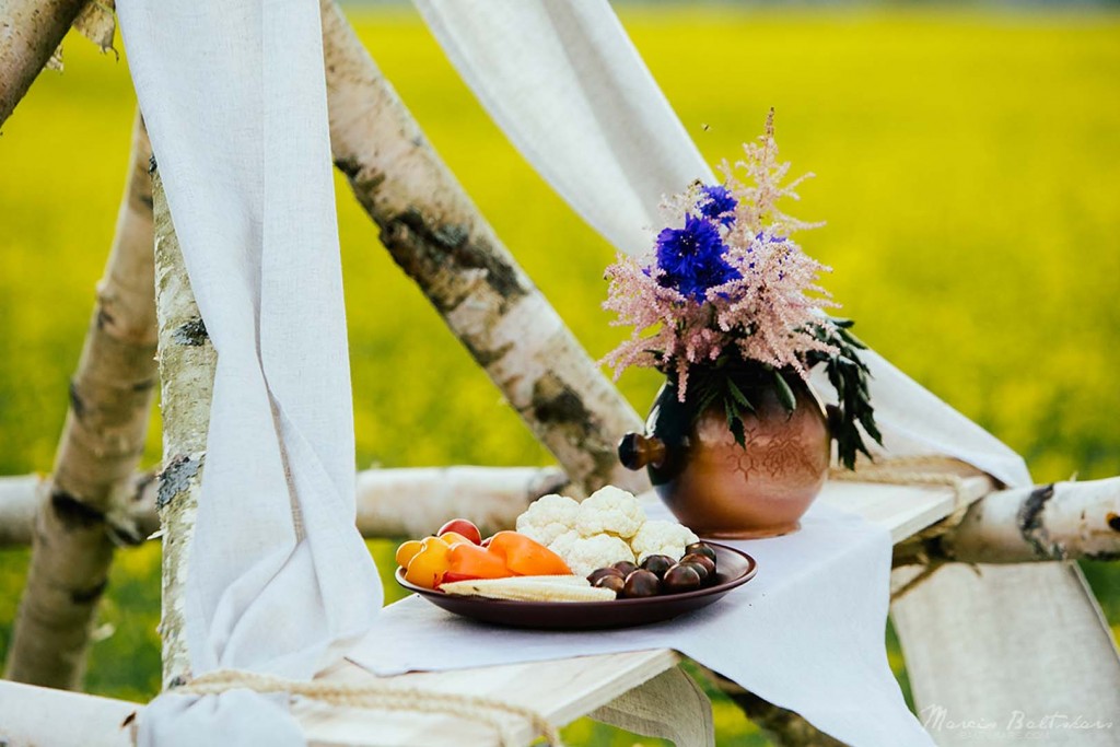 Wedding Photo _ Signija_Janis _ 2014 _ Photographer Marcis Baltskars _ WEBsize - 36178