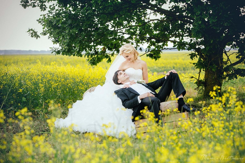 Wedding Photo _ Signija_Janis _ 2014 _ Photographer Marcis Baltskars _ WEBsize - 36216