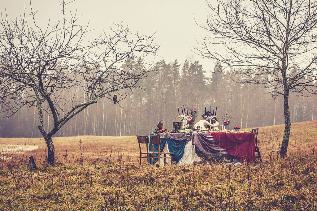 ZIEMAS KĀZU DEKORĒŠANA. EKONOMISKĀ KLASE