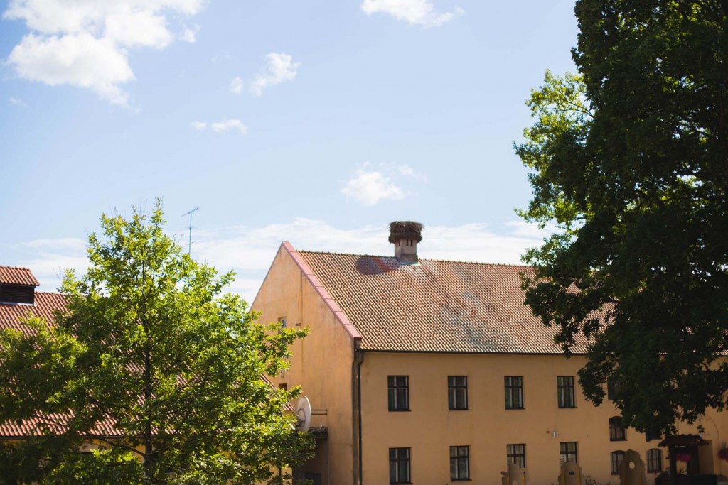 Nadezda Kraukle 20