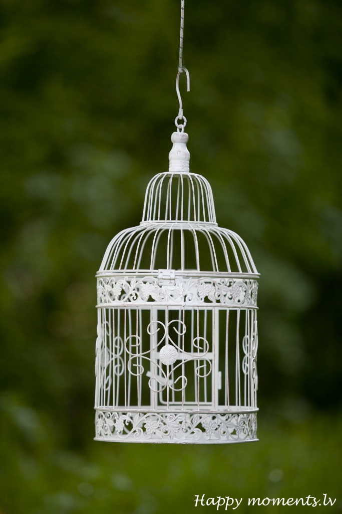 happy moments_ birdcage