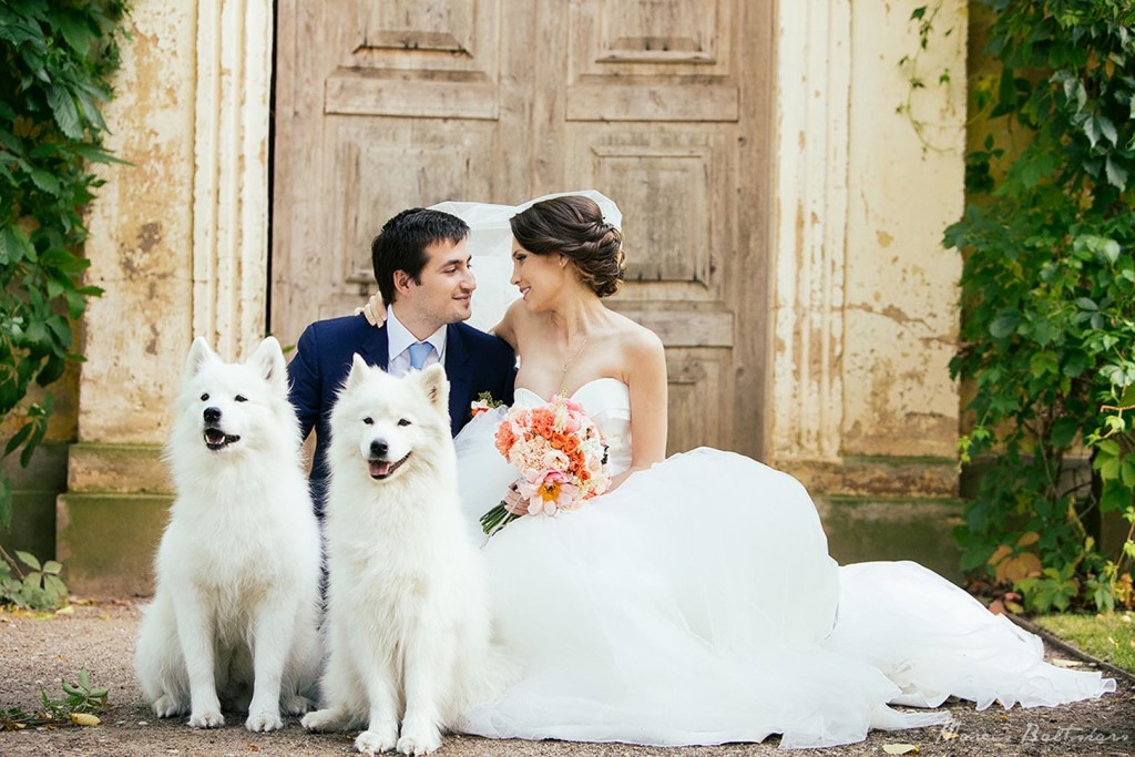 DZĪVNIEKI KĀZĀS – LABA VAI SLIKTA DOMA?