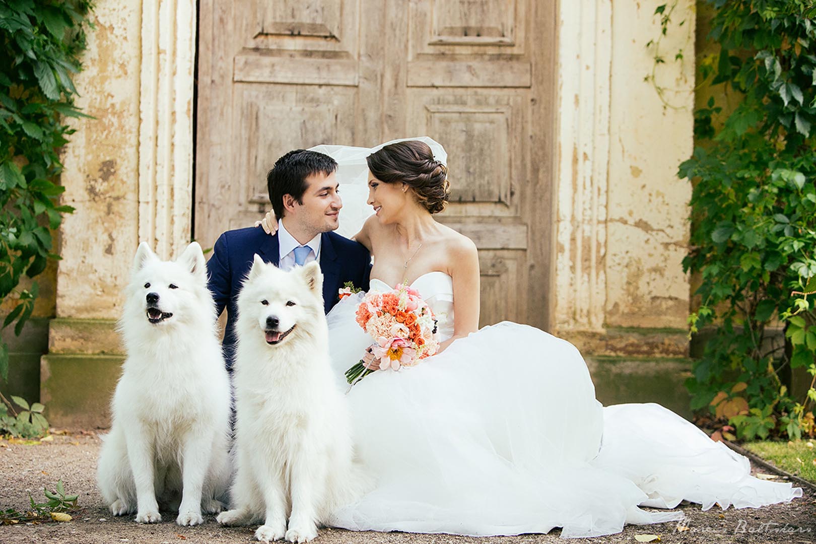 DZĪVNIEKI KĀZĀS – LABA VAI SLIKTA DOMA? - Līgavām.com