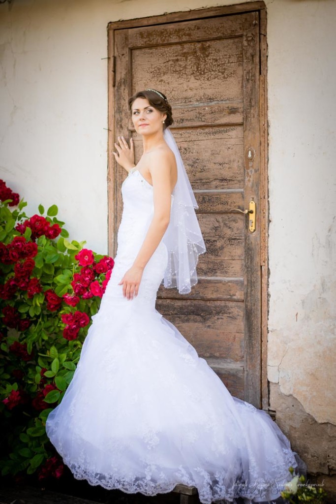 alina-martins-print-622