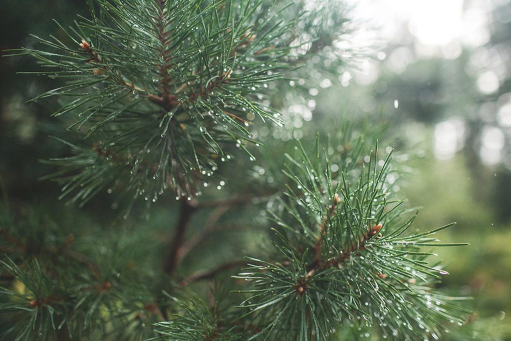 Mara-un-Ilzes-kāzas-fotogrāfs-Linda-Briinums_0092