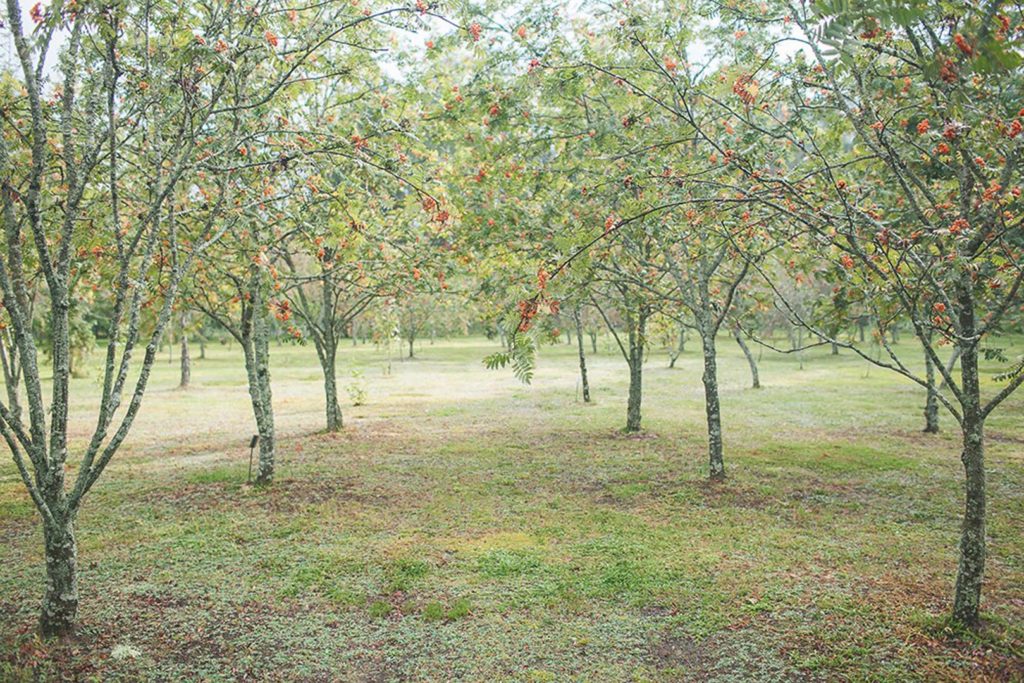 Mara-un-Ilzes-kāzas-fotogrāfs-Linda-Briinums_0097