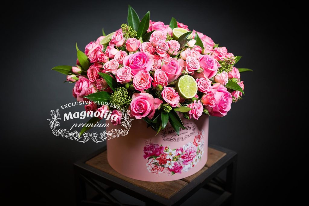 _OLF2416_web