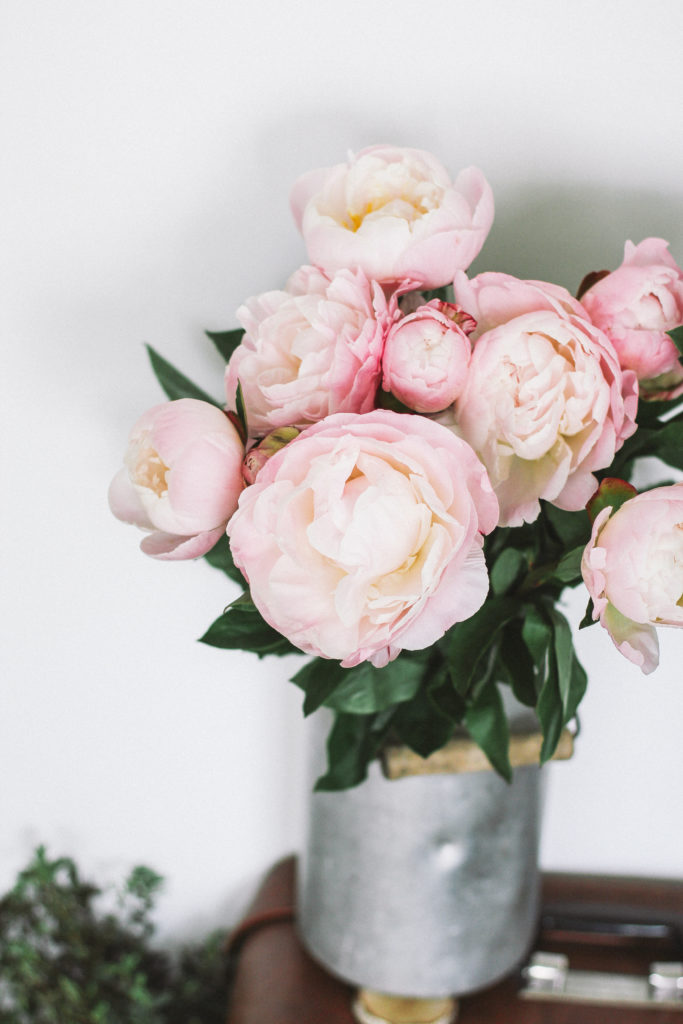 inbloom 26