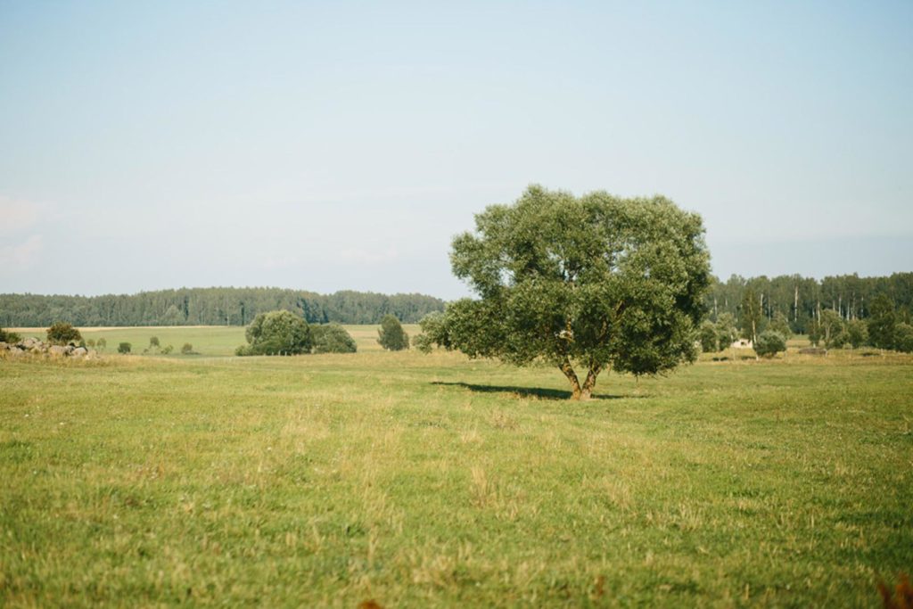 068-lieliskas-kazu-fotografijas