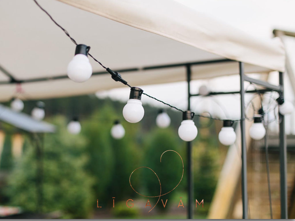 LigavasPositivus.022