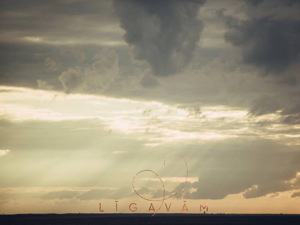 LigavasPositivus.028