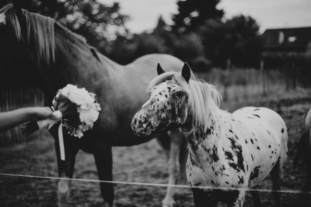 080_Kāzu_fotogrāfs_Ainars_Mazjanis_2016_wedding photographer Chambery France Alps