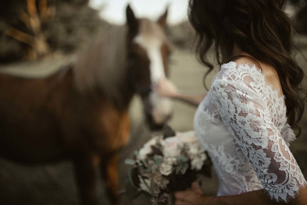 Miks Sels - Life is Life Photography-9