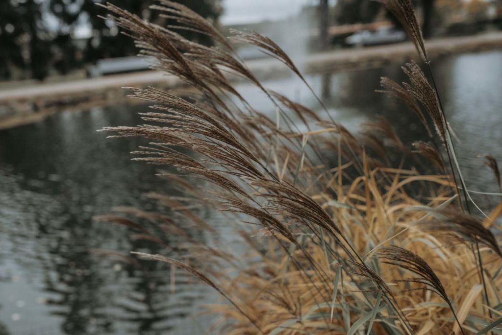 LifeisLifeLMmood-53