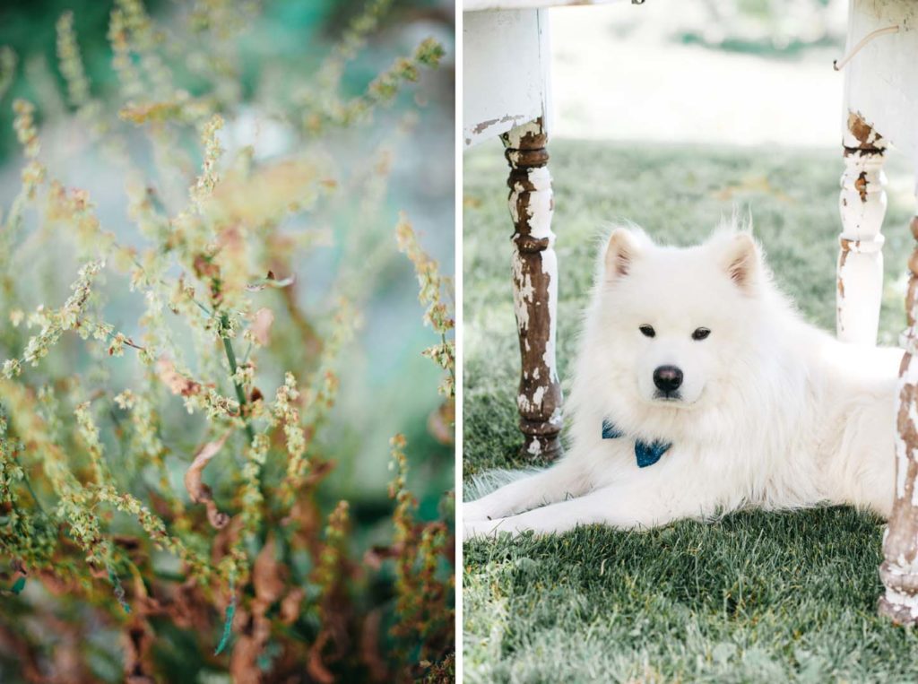 Mette & Vincent 085