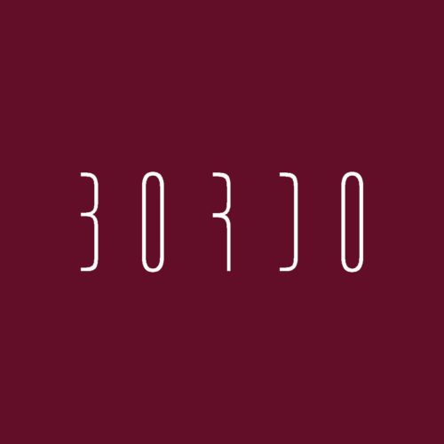 Bordo logo_fons-page-001