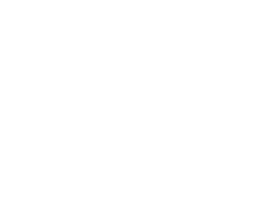 DragonFlyLogo3