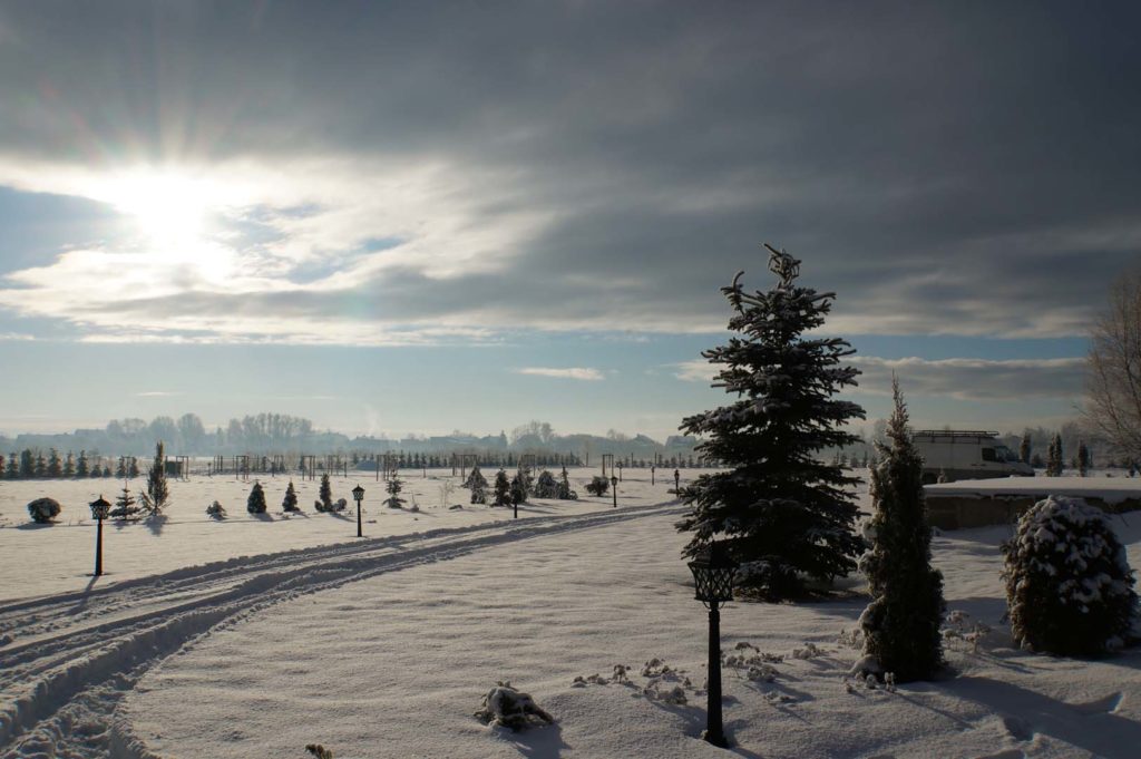 DSC03184