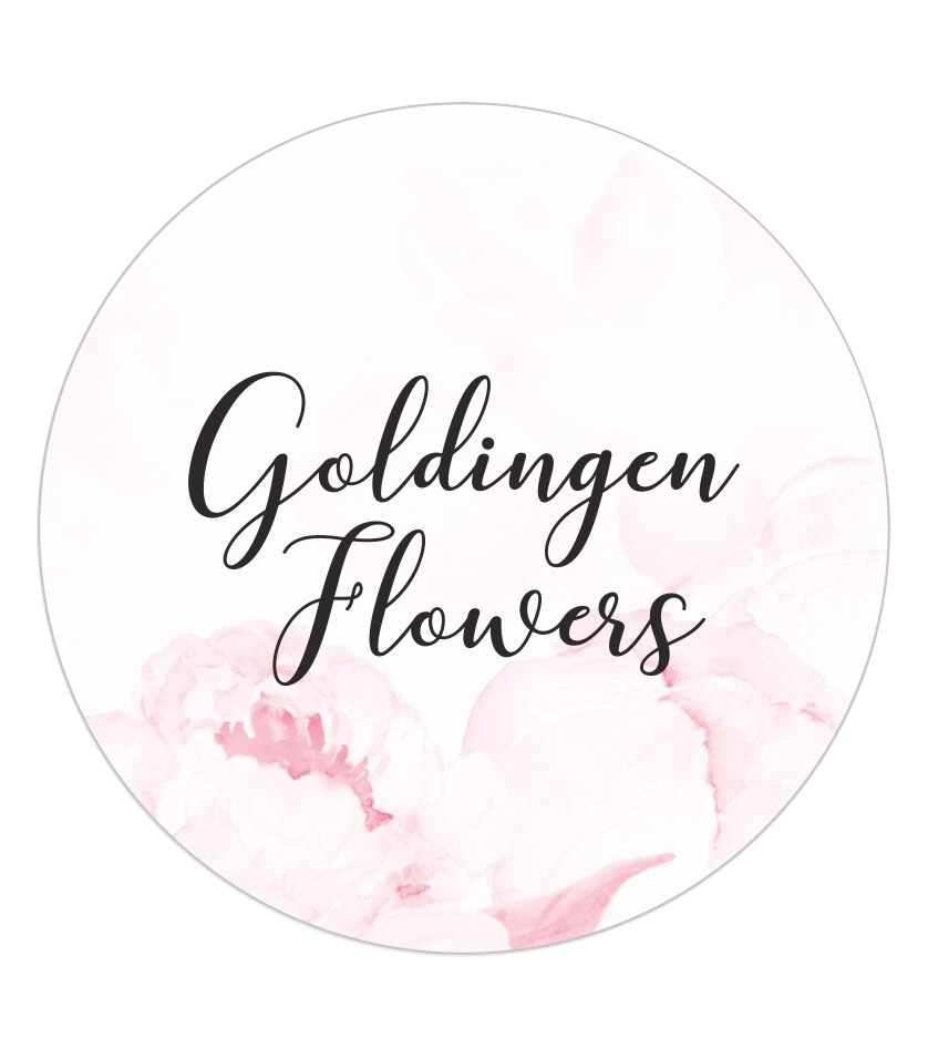 Logo GF