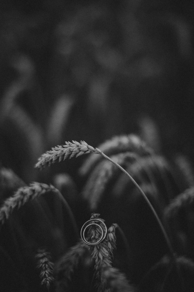 668A7004_web_web