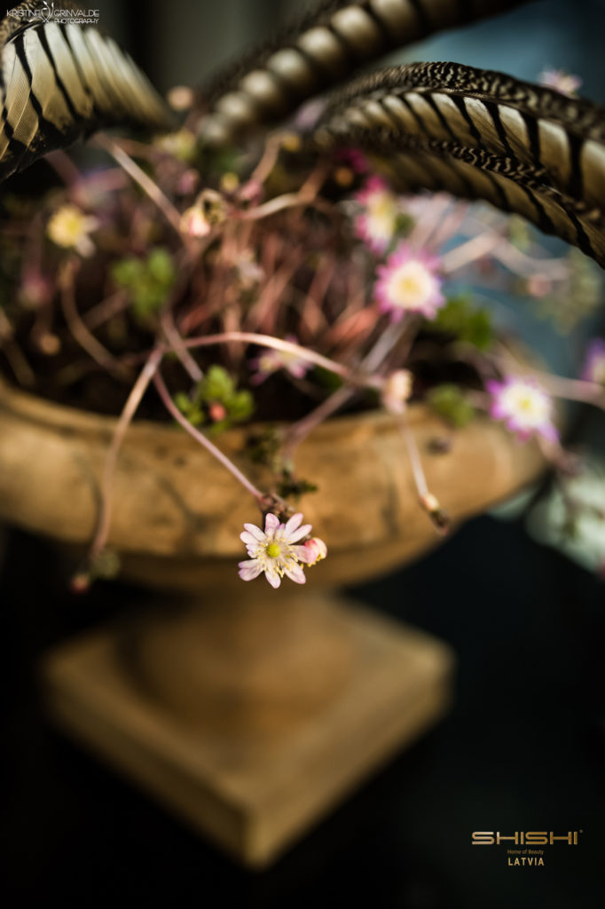 SHISHI_Lieldienas_Kolekcionara_0014