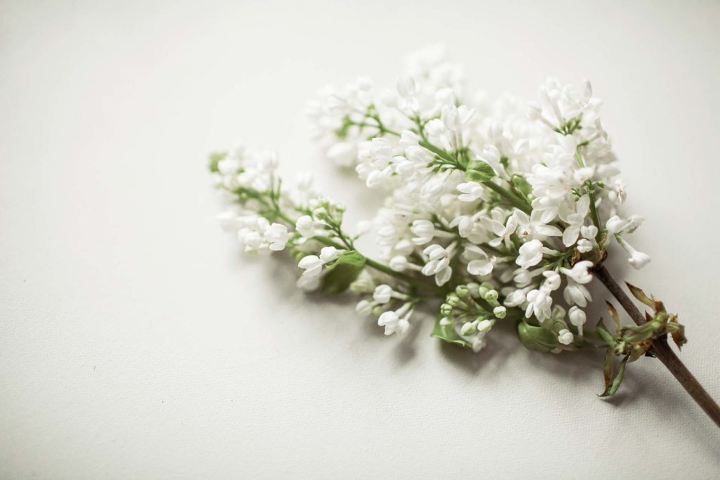 INBLOOM-4777