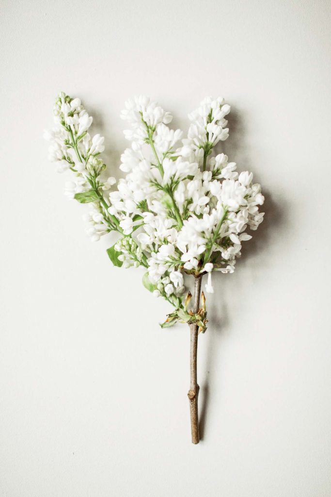 INBLOOM-4782