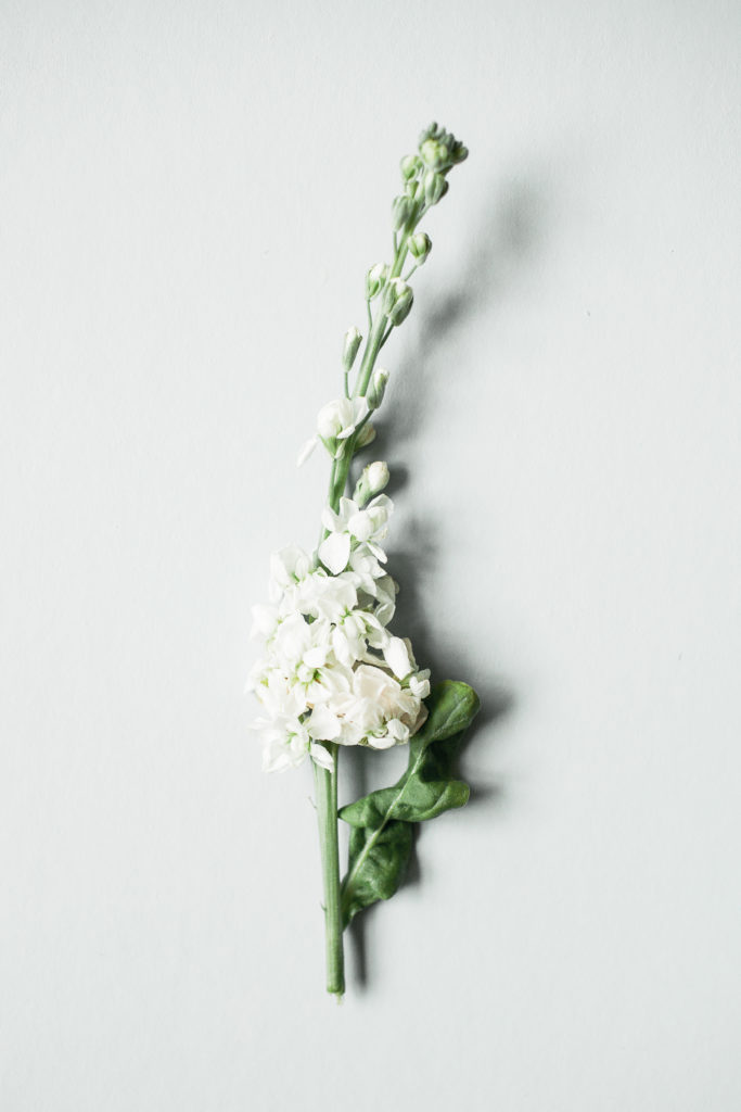 INBLOOM-4805