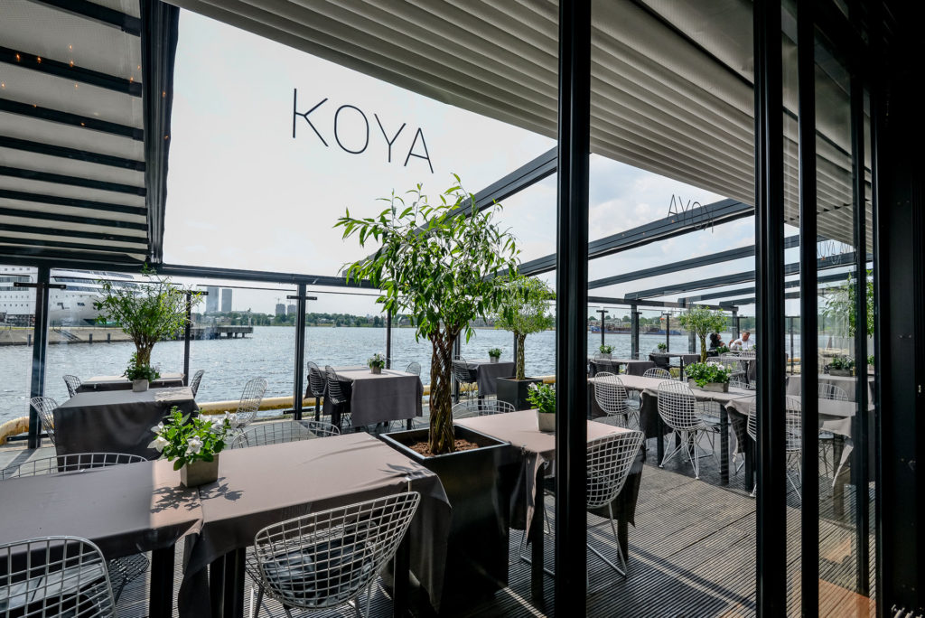 KOYA_terase_skats