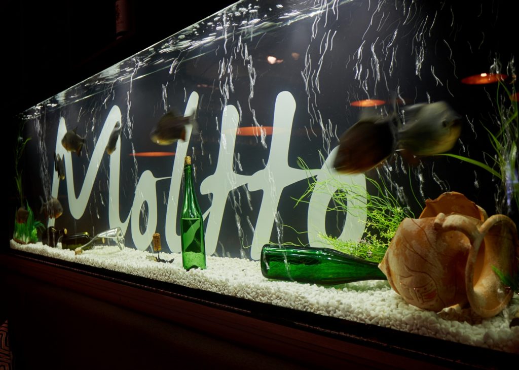 Moltto_wine&grill_Riga11