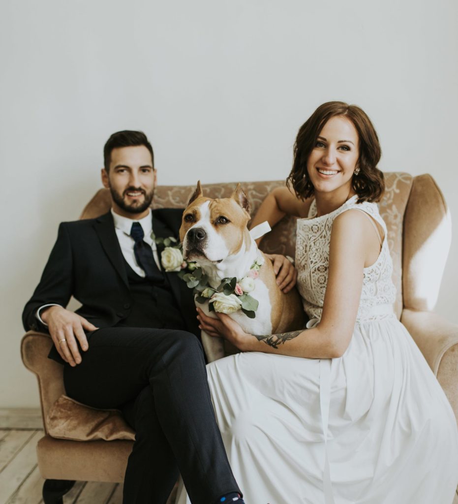 KĀZU GODA VIESIS – JŪSU MĀJDZĪVNIEKS