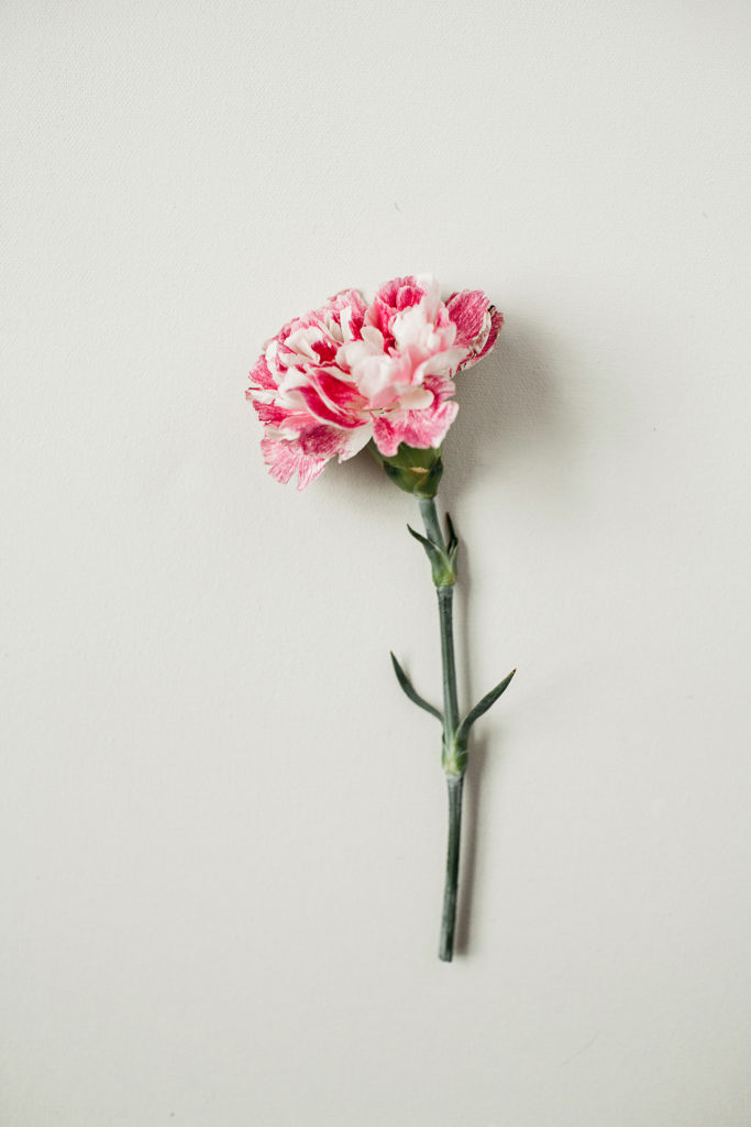 INBLOOM-4818