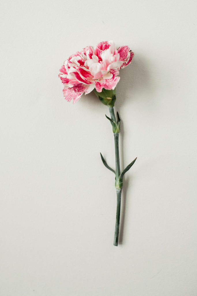 INBLOOM-4819