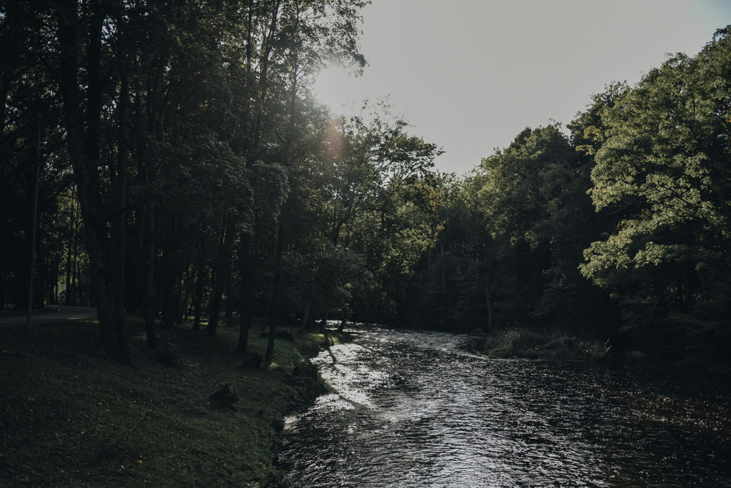 AV0_3904