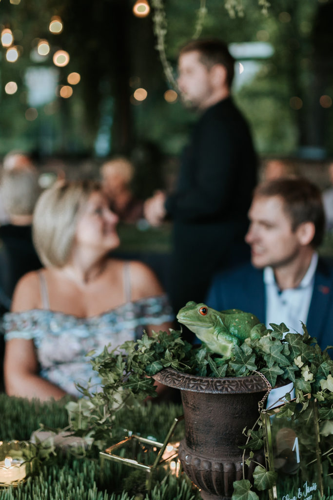 ElinaJanisWedding-419