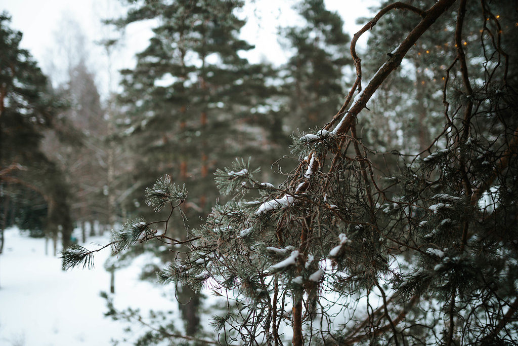 PatricijaArturs-4