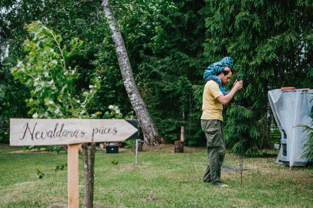 kjv-7