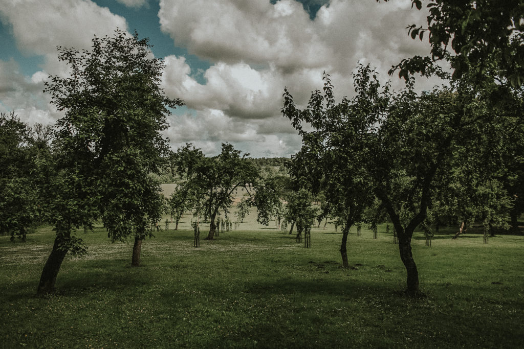 LunK (1511 of 1513)