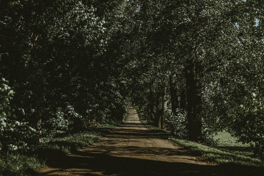 LunK (875 of 1513)