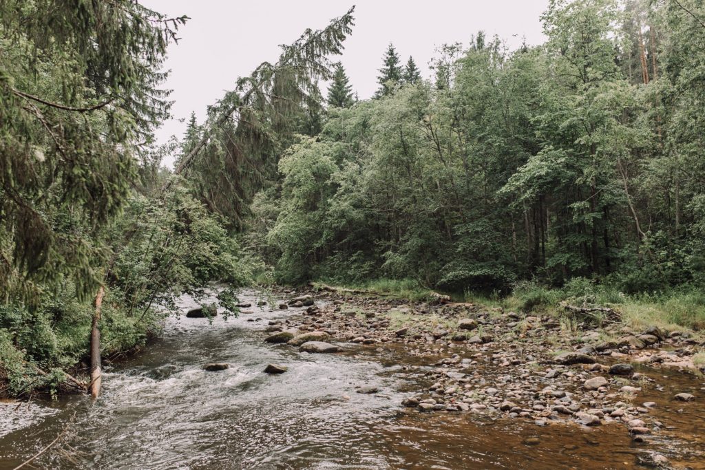 M--E-by-Liene-Petersone-465